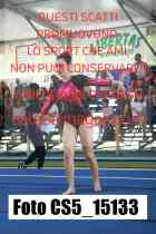 CS5_15133-