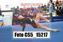 CS5_15217-