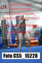 CS5_15228-