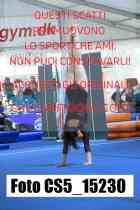 CS5_15230-