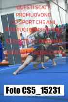 CS5_15231-
