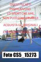 CS5_15273-
