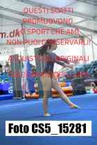 CS5_15281-