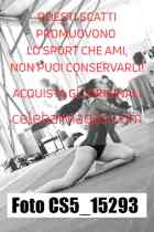 CS5_15293-