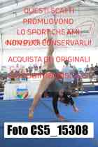 CS5_15308-