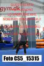 CS5_15315-