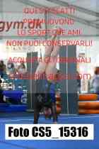 CS5_15316-