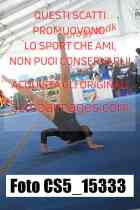 CS5_15333-