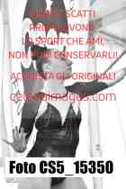 CS5_15350-
