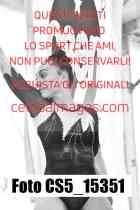 CS5_15351-