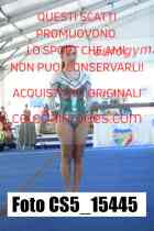 CS5_15445-