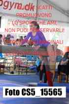 CS5_15565-