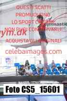 CS5_15601-