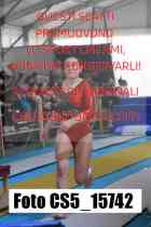 CS5_15742-