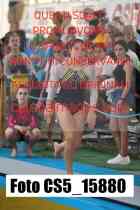 CS5_15880-