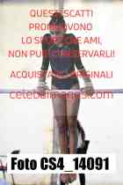 CS4_14091-