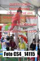 CS4_14115-