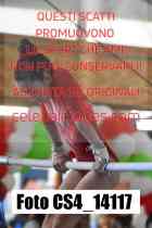 CS4_14117-