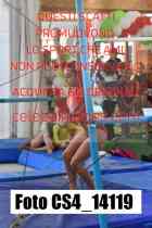 CS4_14119-