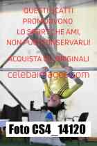 CS4_14120-