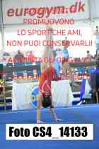 CS4_14133-