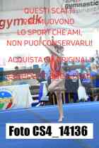 CS4_14136-