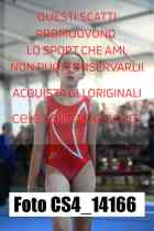 CS4_14166-