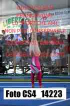 CS4_14223-