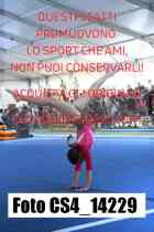 CS4_14229-