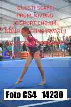 CS4_14230-