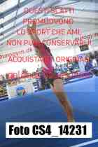 CS4_14231-