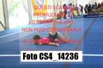 CS4_14236-