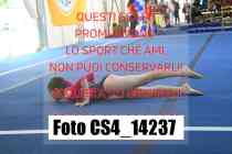 CS4_14237-