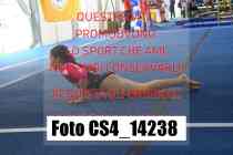 CS4_14238-
