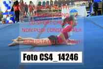 CS4_14246-