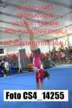 CS4_14255-