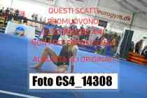 CS4_14308-