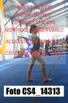 CS4_14313-