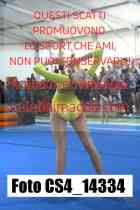 CS4_14334-
