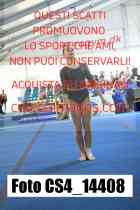 CS4_14408-