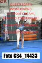 CS4_14433-