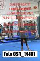 CS4_14461-