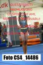 CS4_14486-