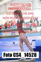 CS4_14528-