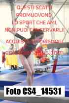 CS4_14531-