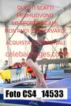 CS4_14533-