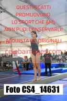 CS4_14631-