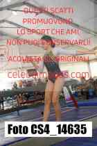 CS4_14635-