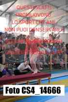 CS4_14666-