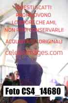 CS4_14680-